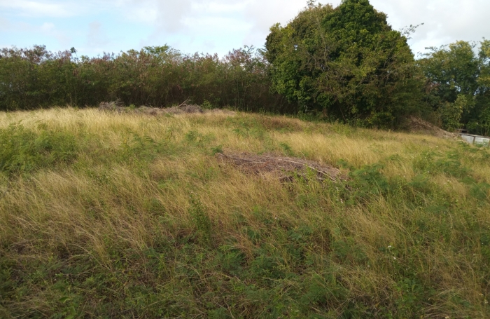 Vente Terrain 97121