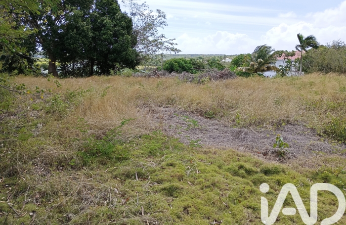 Vente Terrain 903m&sup2; Anse-Bertrand
