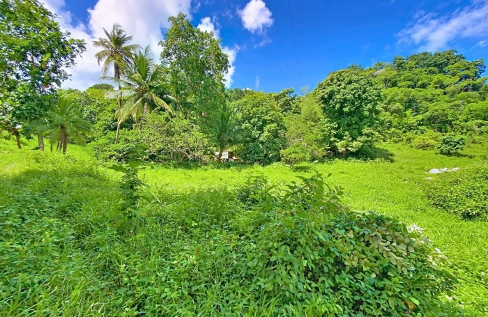 Vente Terrain 800m&sup2; Morne &agrave; l'eau