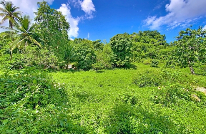 Vente Terrain 800m&sup2; Morne &agrave; l'eau