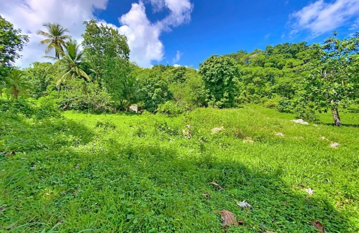 Vente Terrain 800m&sup2; Morne &agrave; l'eau