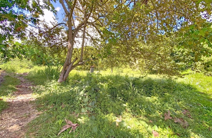 Vente Terrain 800m&sup2; Morne &agrave; l'eau