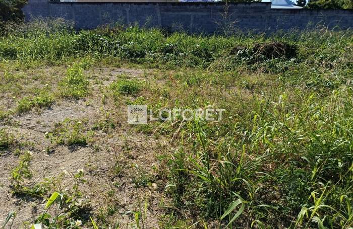Vente Terrain 447m&sup2; Saint Fran&ccedil;ois