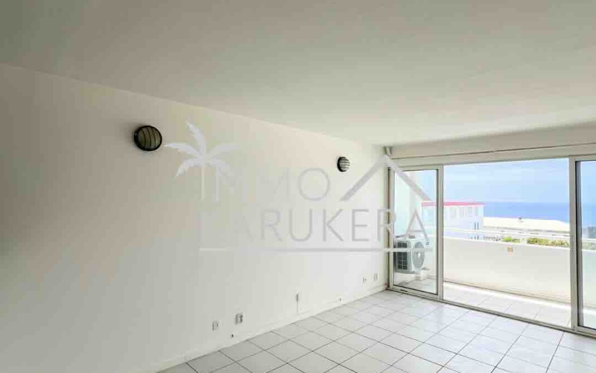 Appartement s&eacute;curis&eacute; &agrave; Basse-Terre