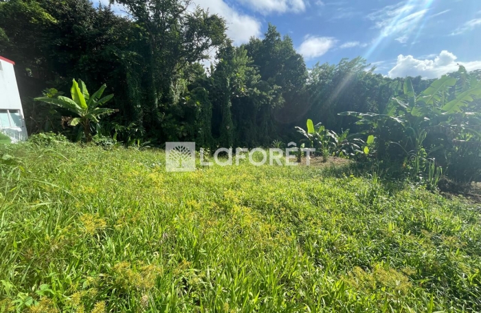 Vente Terrain 562m&sup2; Trois Rivi&egrave;res