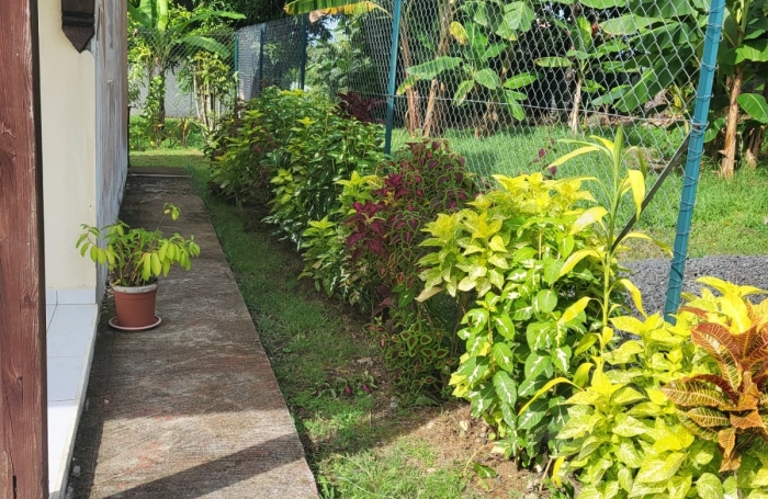 Location Maison 41m&sup2; 2 pièces Baie Mahault