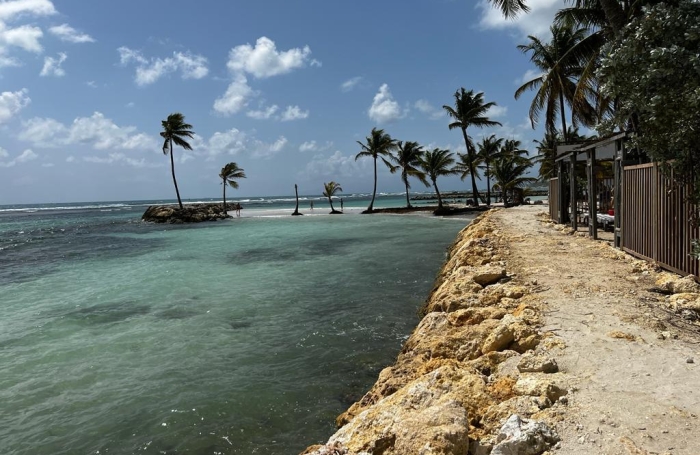 Vente Appartement 97180