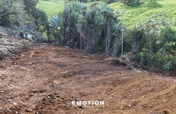 Terrain 1 140 m2 &agrave; vendre - Tambour / Grande Savane - Petit Bourg