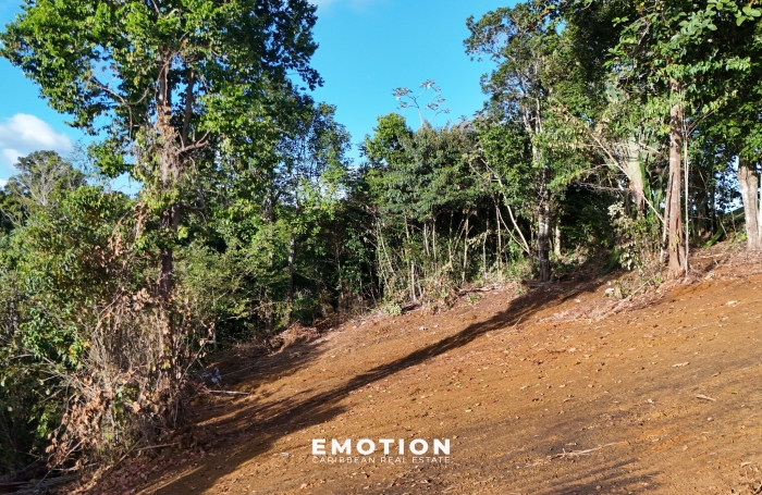 Terrain 1 140 m2 &agrave; vendre - Tambour / Grande Savane - Petit Bourg