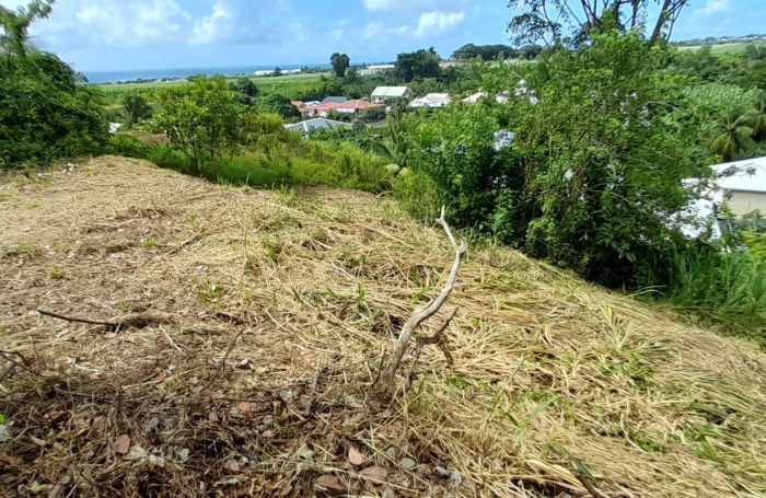 Vente Terrain 507m&sup2; Capesterre Belle Eau