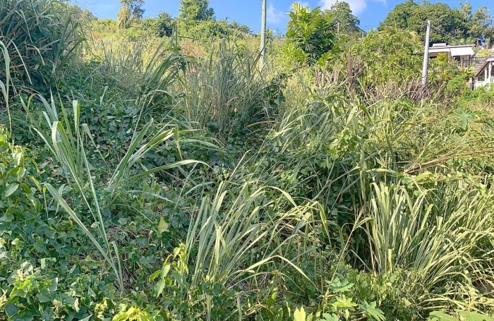 Vente Terrain 585m&sup2; Gosier