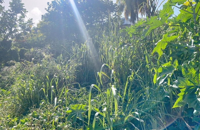 Vente Terrain 585m&sup2; Gosier