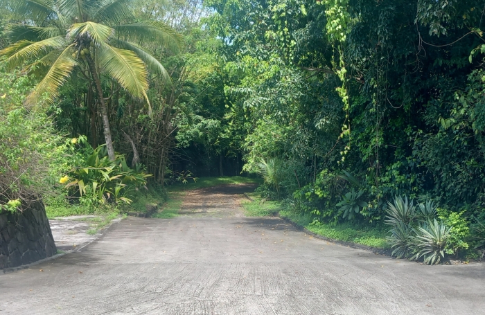 LES ABYMES - BESSON : PROPRIETE DE 7962 m2