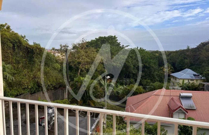 Vente Appartement 97190