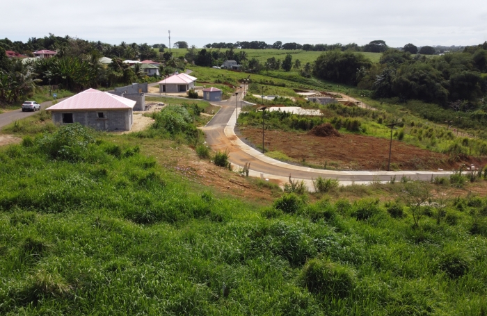 LAMENTIN  TERRAIN 542 M2