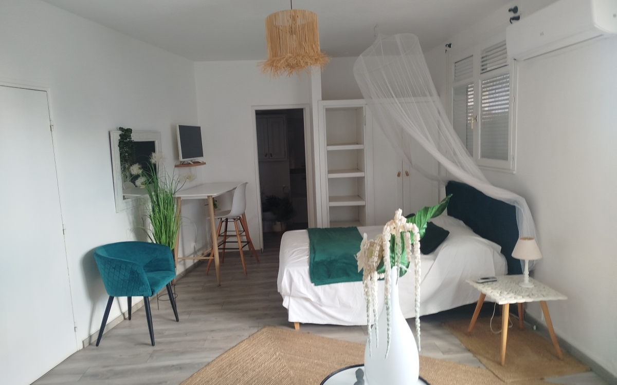  POINTE a PITRE F1 meubl&eacute; &eacute;tat neuf VUE MER  130000&euro;FAI