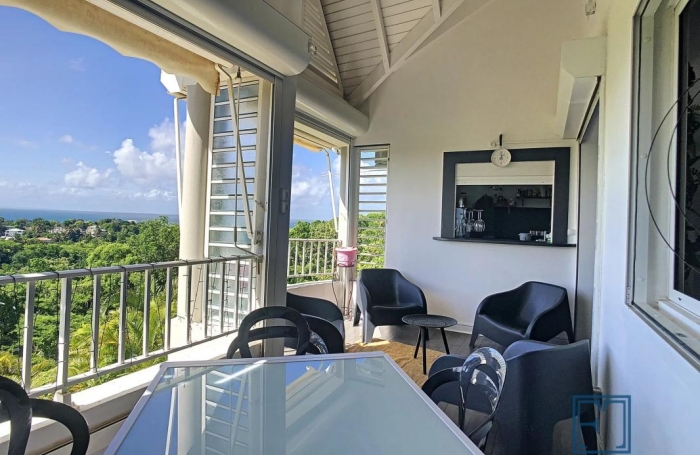 Location Appartement 97190