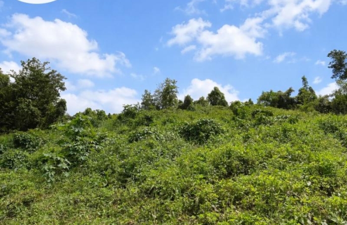 Vente Terrain 865m&sup2; Les Abymes