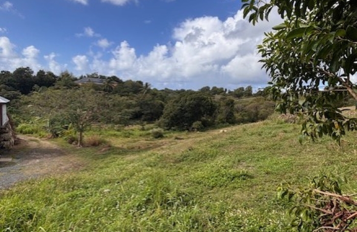 Terrain &agrave; vendre sur Sainte-Anne - Longfort Immobilier