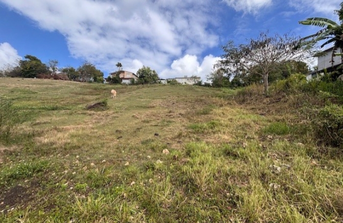 Terrain &agrave; vendre sur Sainte-Anne - Longfort Immobilier