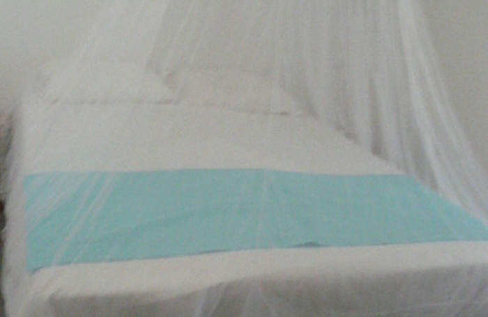 Appartement T2   Lot Canelle-Id&eacute;al investisseur   Bouillante, Guadeloupe