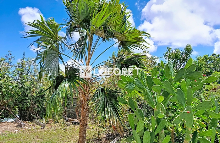 Vente Maison 133m&sup2; 5 pi&egrave;ces Anse-Bertrand