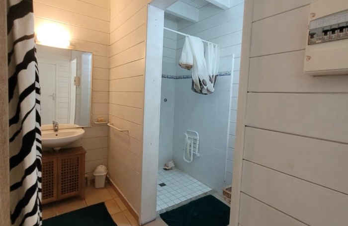 IDEAL INVESTISSEMENT LOCATIF - LOFT + 4 STUDIOS