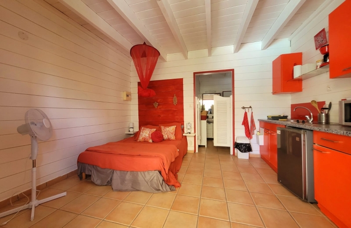 IDEAL INVESTISSEMENT LOCATIF - LOFT + 4 STUDIOS