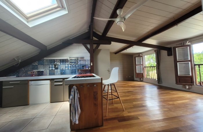 IDEAL INVESTISSEMENT LOCATIF - LOFT + 4 STUDIOS