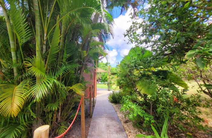 IDEAL INVESTISSEMENT LOCATIF - LOFT + 4 STUDIOS