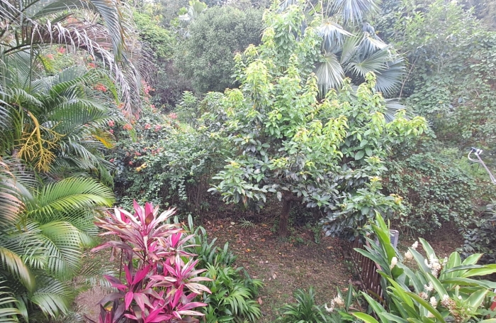 T1 avec mezzanine, terrasse    Id&eacute;al investissement &agrave; Bouillante