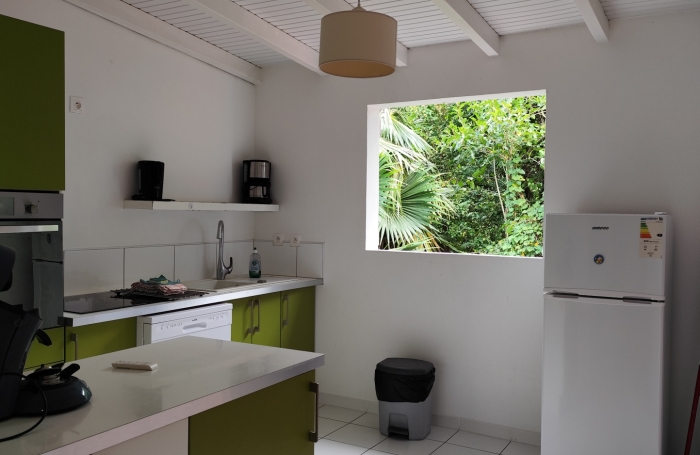 Appartement T2 + studio   Id&eacute;al investisseur   Bouillante, Guadeloupe