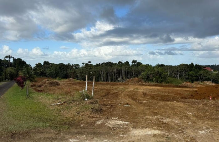 Vente Terrain 1 pièce Petit-Bourg