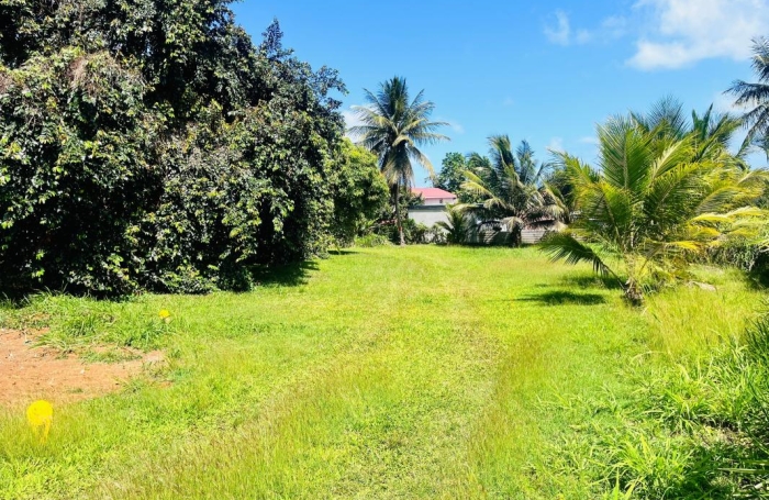 Vente Terrain 700m&sup2; Baie Mahault