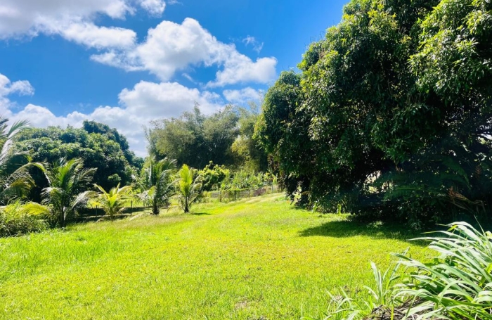 Vente Terrain 700m&sup2; Baie Mahault