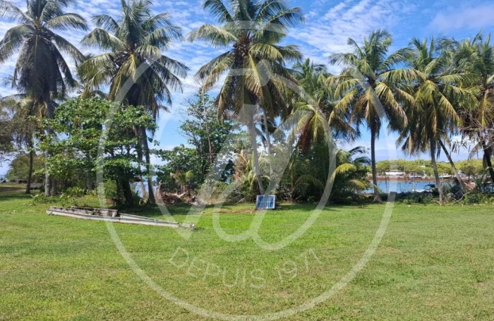 Vente Appartement 97190