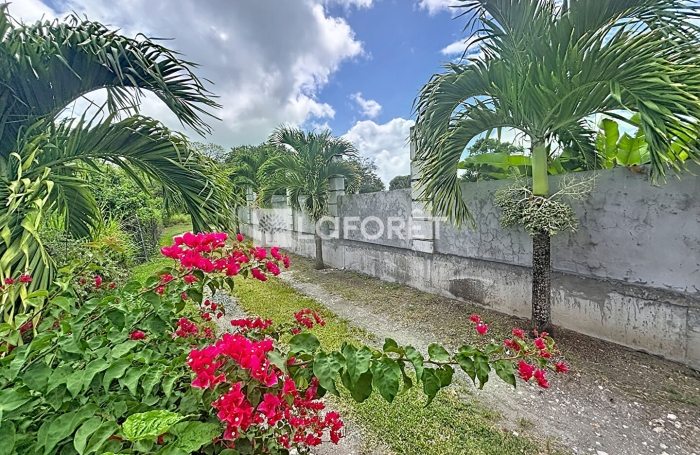 Vente Terrain 453m&sup2; Saint Fran&ccedil;ois