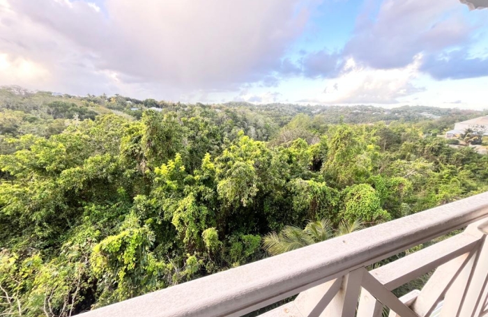 Vente Immeuble 389m&sup2; 16 pièces Sainte Anne