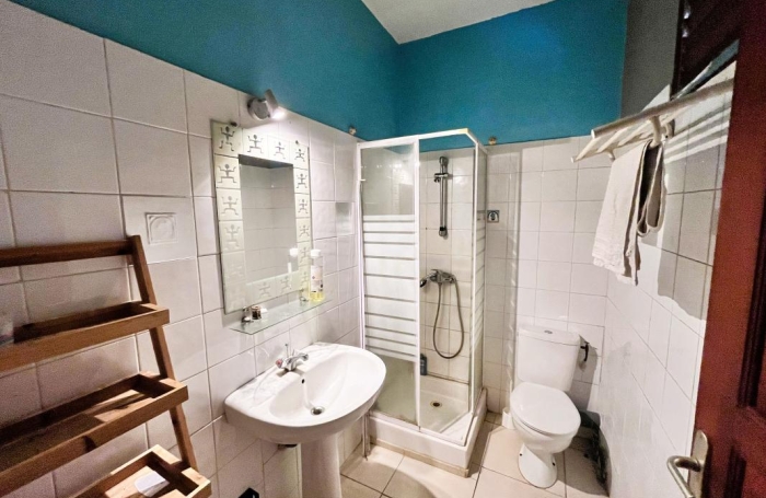 Vente Immeuble 389m&sup2; 16 pièces Sainte Anne