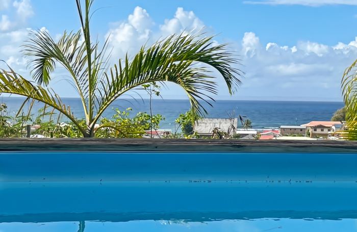 Vue mer, jardin et douceur de vivre - petite copropri&eacute;t&eacute; - centre st fran&ccedil;ois