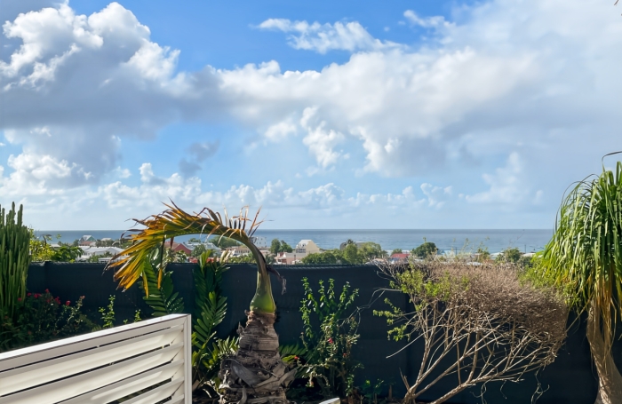 Vue mer, jardin et douceur de vivre - petite copropri&eacute;t&eacute; - centre st fran&ccedil;ois