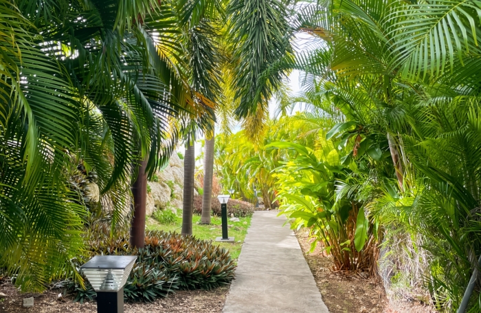 Vue mer, jardin et douceur de vivre - petite copropri&eacute;t&eacute; - centre st fran&ccedil;ois