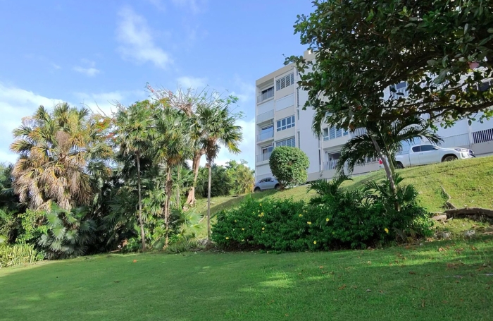 Spacieux T3 meubl&eacute; vue mer