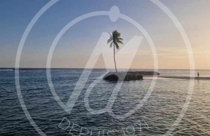 Location Appartement 97180