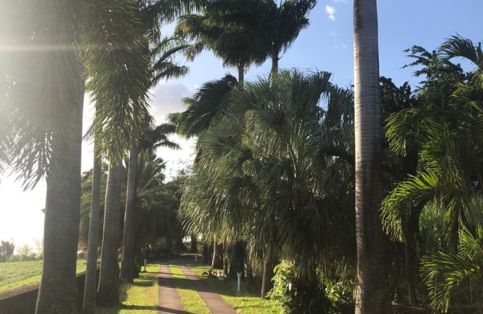 Location Maison 97120