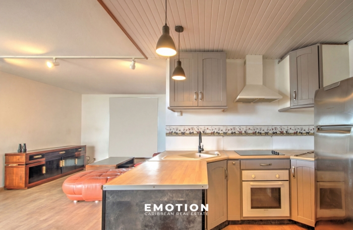 Duplex T3   80 m2 Carrez, vue marina et mer + grand box ferm&eacute; de 15 m2