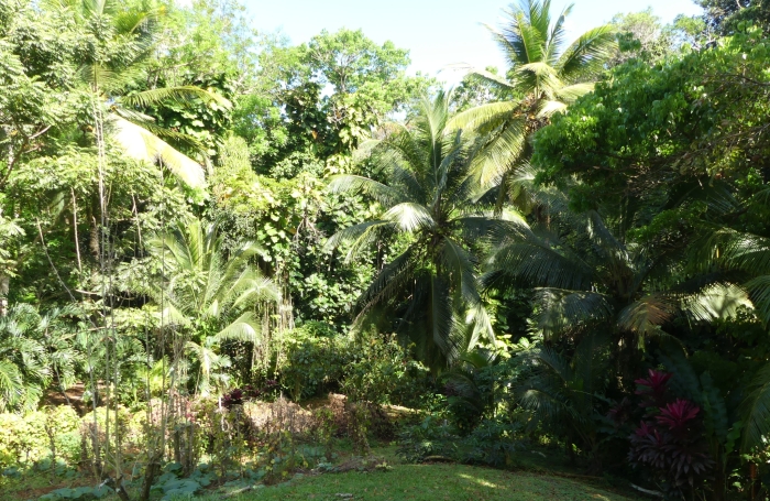 Maison en location 950 &euro; par mois avec terrasse &agrave; Petit-Bourg