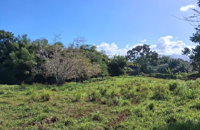 - BAIE-MAHAULT   lotissement r&eacute;sidentiel de 12 parcelles, &laquo; Les Jardins de Tivoli &raquo;,