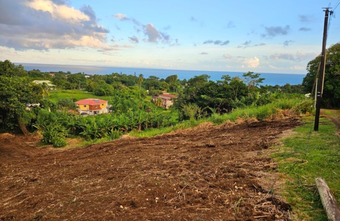 Vente Terrain 2210m&sup2; Capesterre Belle Eau