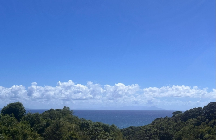 Location Appartement 97190